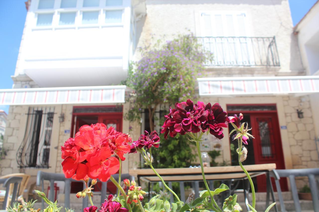 Salyangoz Bed & Breakfast อาเลอเจอติ ภายนอก รูปภาพ